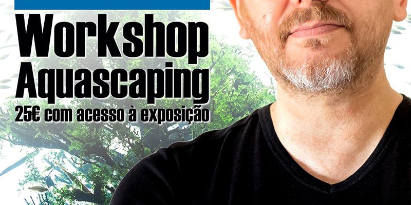 WorkshopAquascaping_F_0_1591376315.