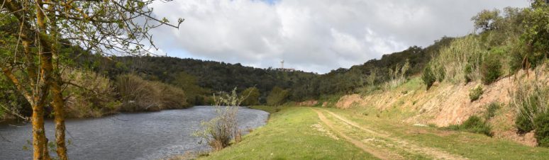 Pista de Pesca de Pavia