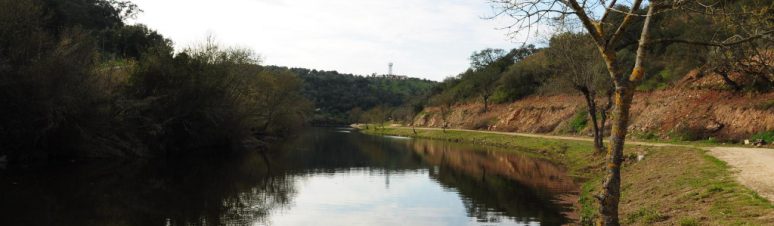 Pista de Pesca de Pavia