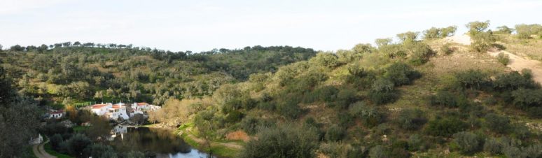 Pista de Pesca de Pavia