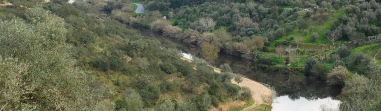 Pista de Pesca de Pavia