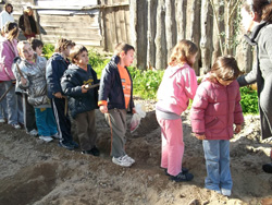 4 Palmos de Terra