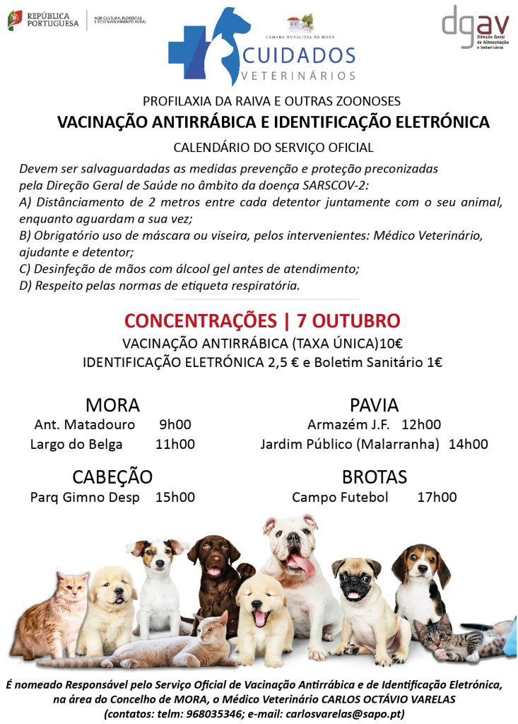 Informação Veterinária - Regras COVID