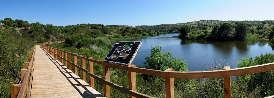 Trabalhos de manutenção decorrem no passadiço do Parque Ecológico do Gameiro