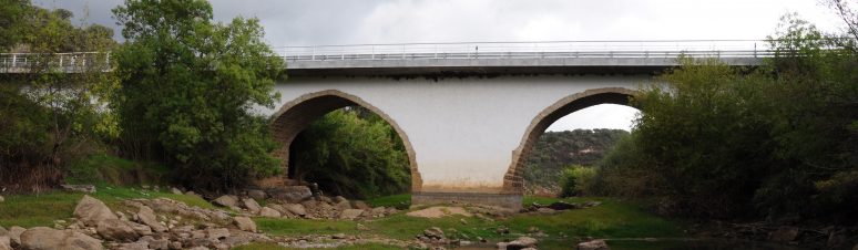 Ponte Medieval de Pavia