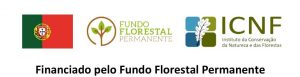 Financiando pelo Fundo Florestal Permanente
