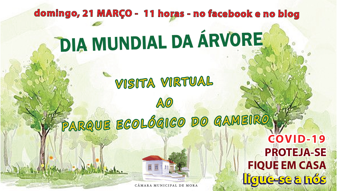 Dia Mundial da Árvore: Visita Virtual ao Parque Ecológico do Gameiro