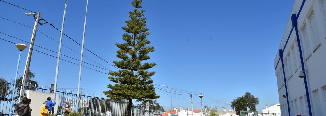 Escola de Mora recebe galardão Eco Escolas