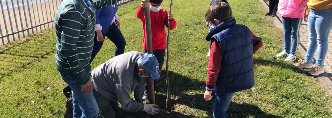 Câmara Municipal de Mora assinala o Dia Mundial da Árvore, da Floresta e da Poesia - 2021