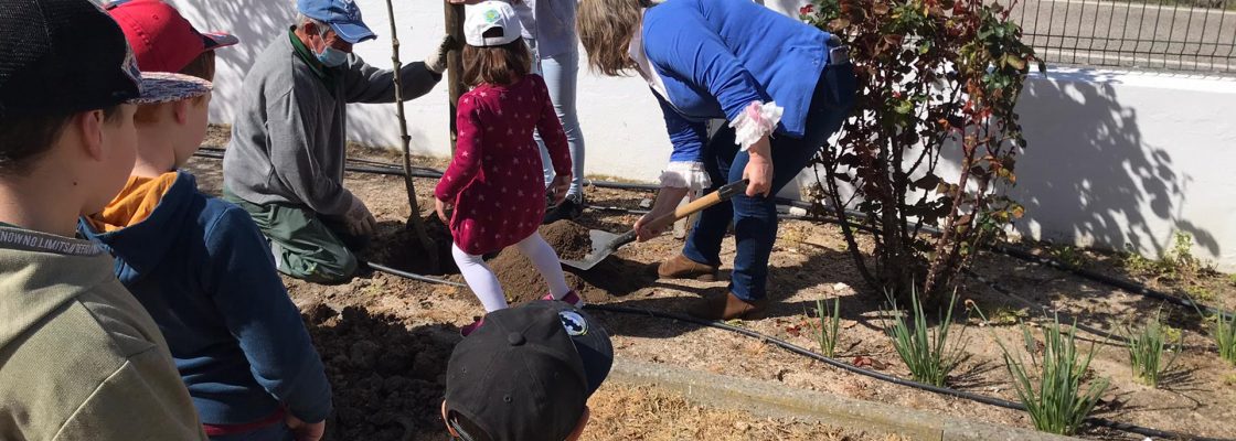 Câmara Municipal de Mora assinala o Dia Mundial da Árvore, da Floresta e da Poesia - 2021