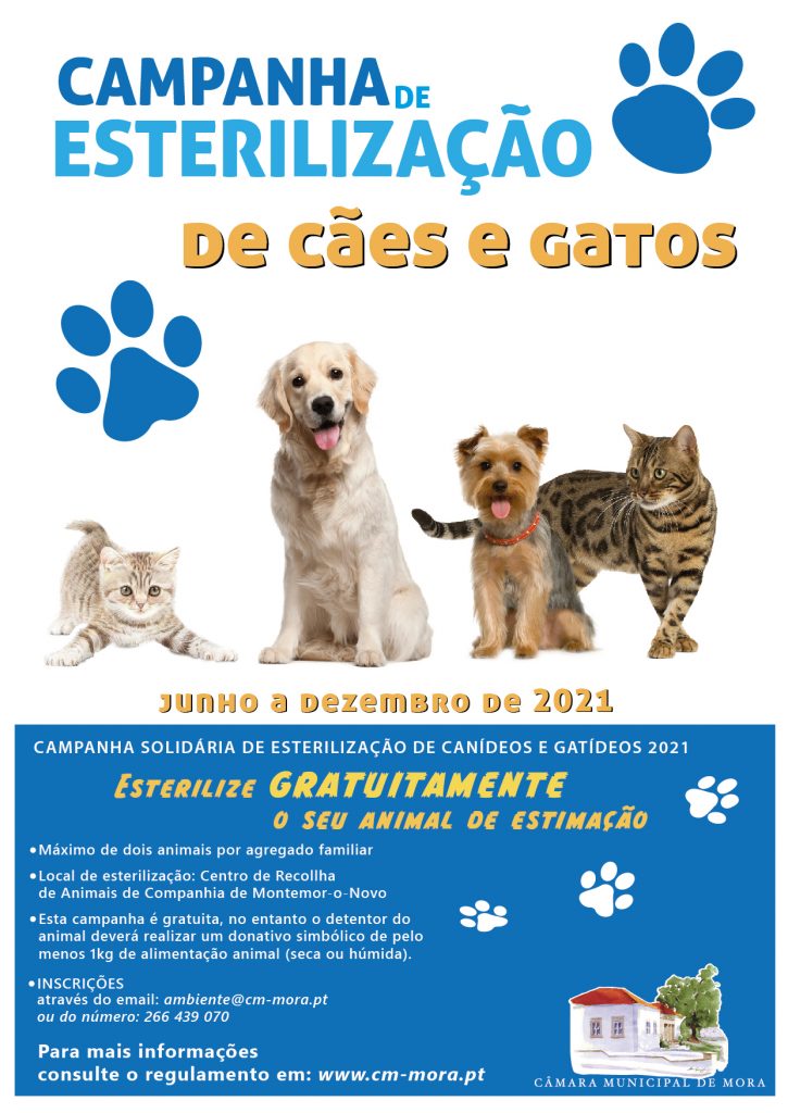 Câmara Municipal de Mora promove campanha solidária de esterilização de animais de companhia