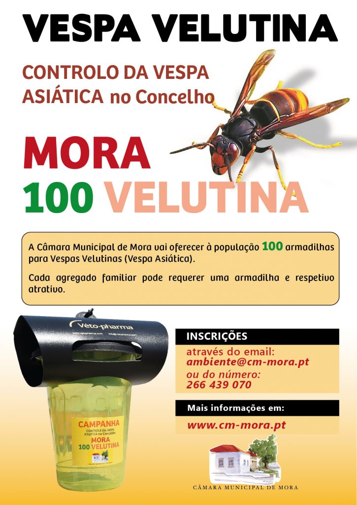 Mora 100 Velutina