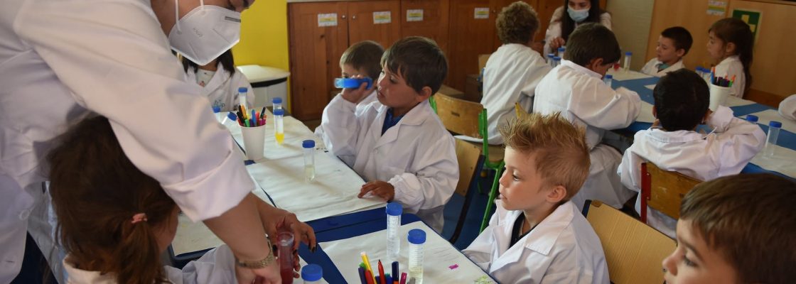Programas de Verão ocupam crianças e jovens do Concelho de Mora