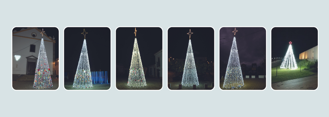 Árvores de Natal Solidárias já brilham em todas as freguesias do concelho