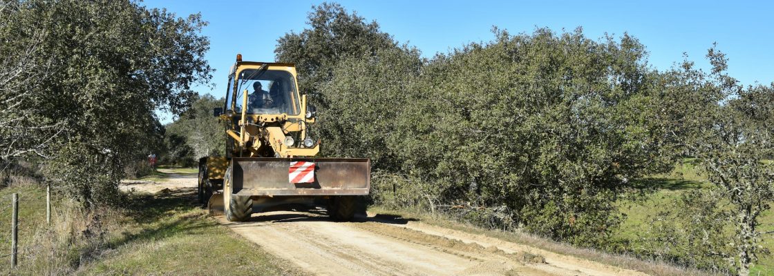 Câmara Municipal procede à limpeza de caminhos vicinais em Pavia