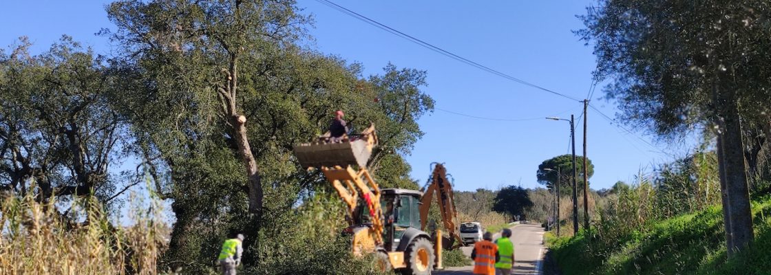 Trânsito interrompido na Estrada Nacional 251, que liga Mora ao Couço