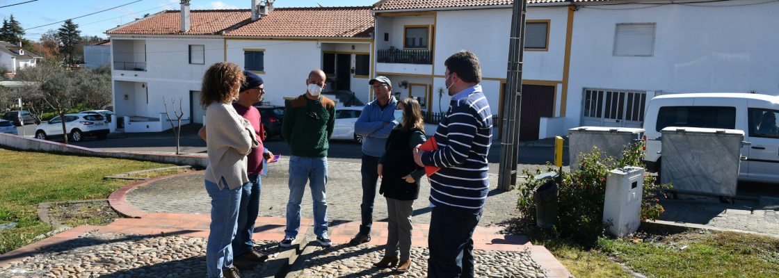 Município de Mora associa-se à campanha “Quero Árvores”