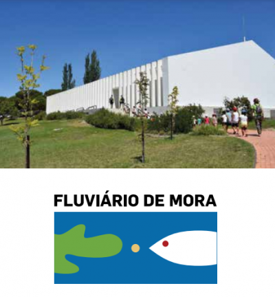 Fluv