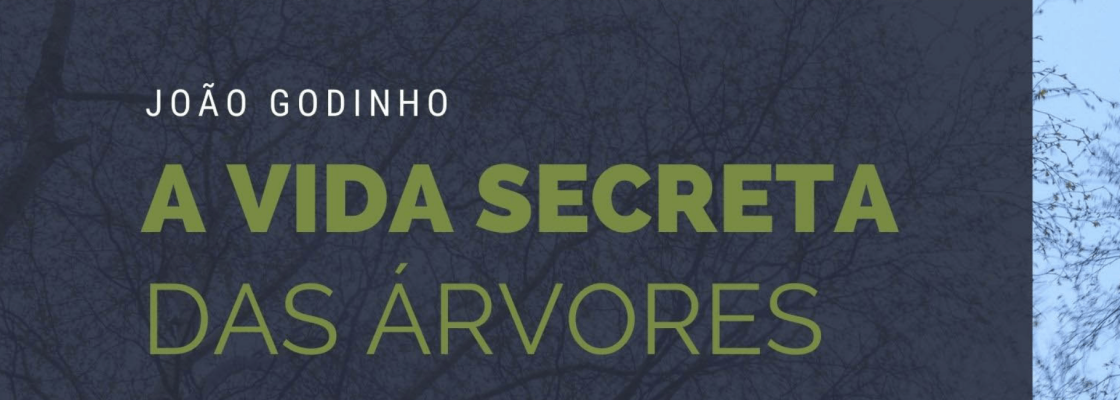 Exposição de Fotografia “A Vida Secreta das Árvores”