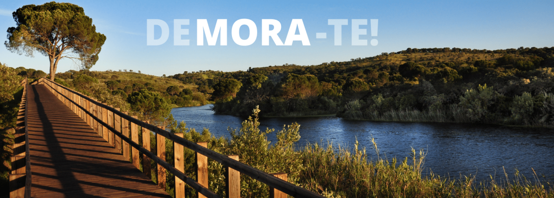 Município de Mora presente na BTL 2022
