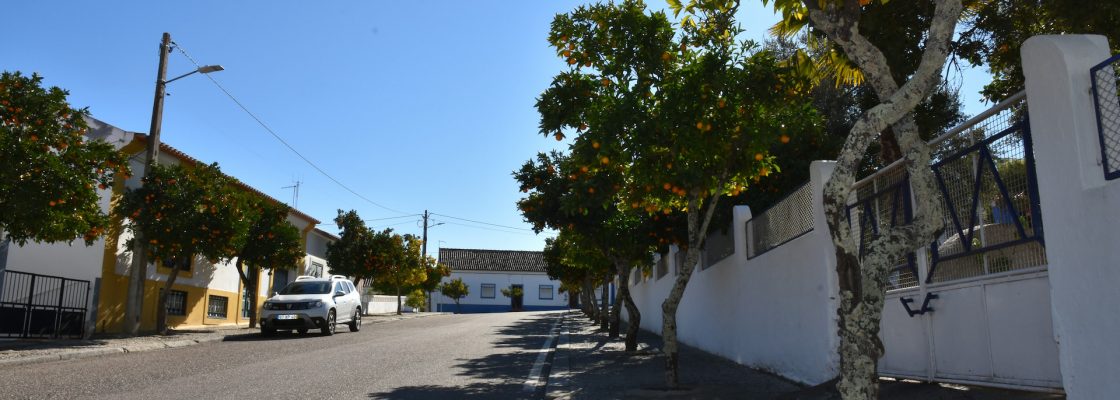 Câmara Municipal realiza recolha de fruta para a Ucrânia