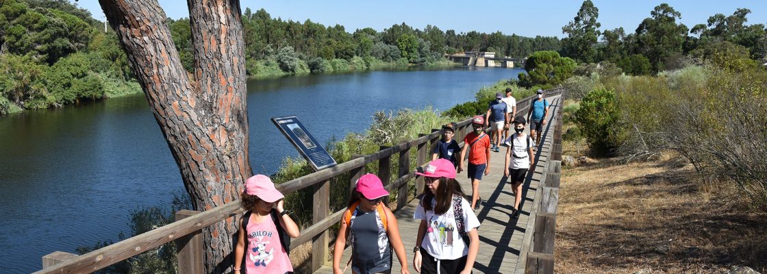 Férias de Verão da Oficina da Criança – Inscrições a decorrer