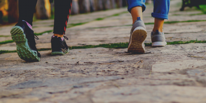 Caminhada por Trilhos de Pavia