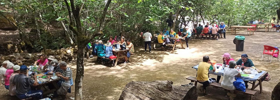 Séniores Ativos encerram ano letivo na Praia do Alamal