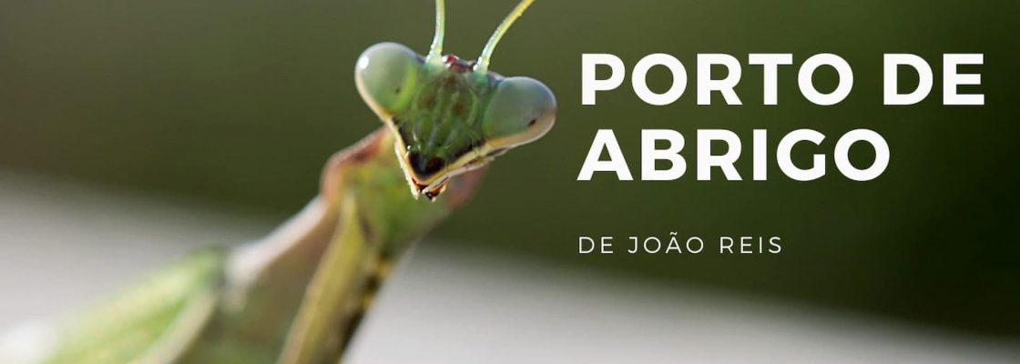 Exposição de fotografia “Porto de Abrigo”, de João Reis