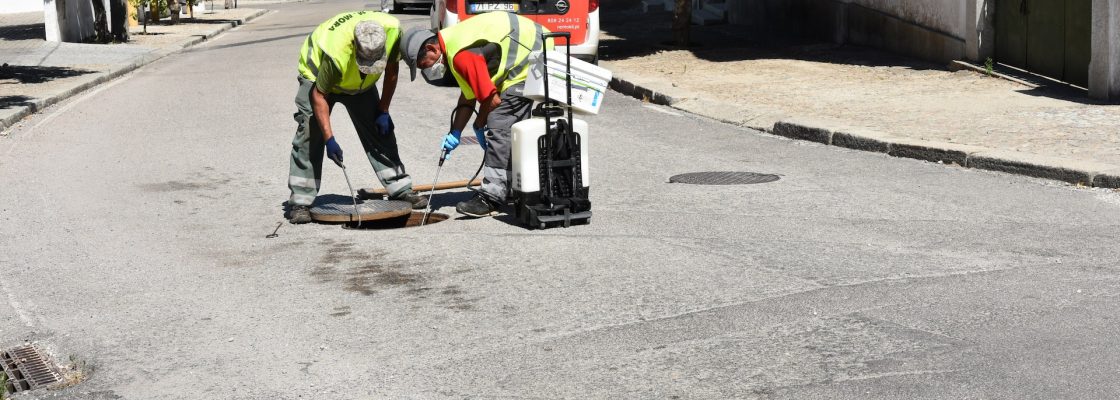 Câmara Municipal de Mora realiza ação de desbaratização na freguesia de Mora
