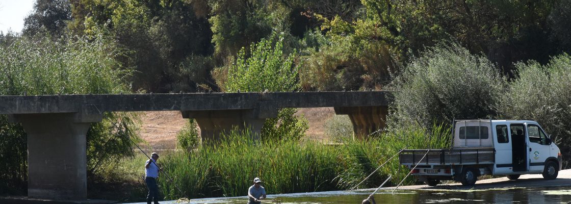 Município de Mora auxilia Grupo de Trabalhadores na limpeza da Ribeira da Raia