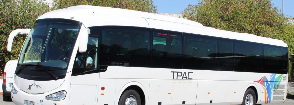 Novo serviço público de transporte de passageiros opera em Mora a partir de hoje