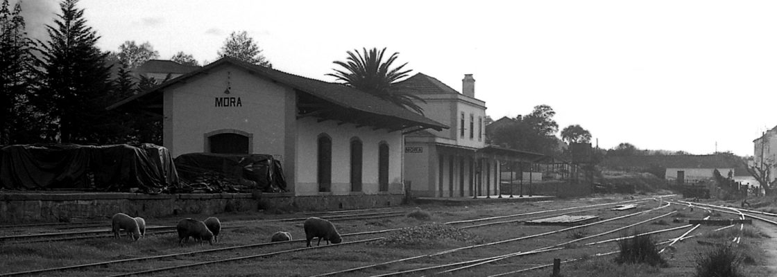 Recolha de Fotografias da Antiga Estação Ferroviária de Mora