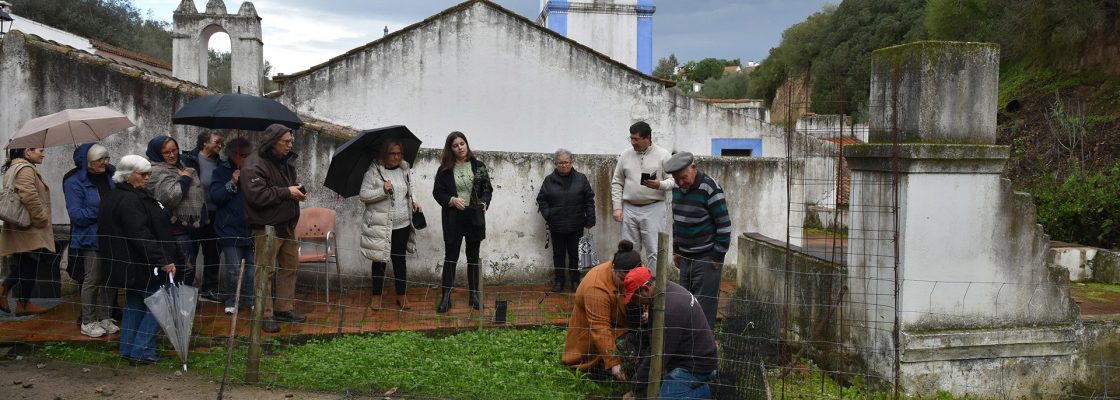 Plantação de árvores no âmbito das Jornadas Mundiais da Juventude