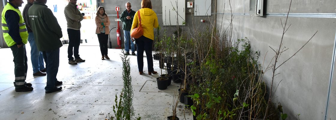 Árvores distribuídas gratuitamente à população do Concelho de Mora