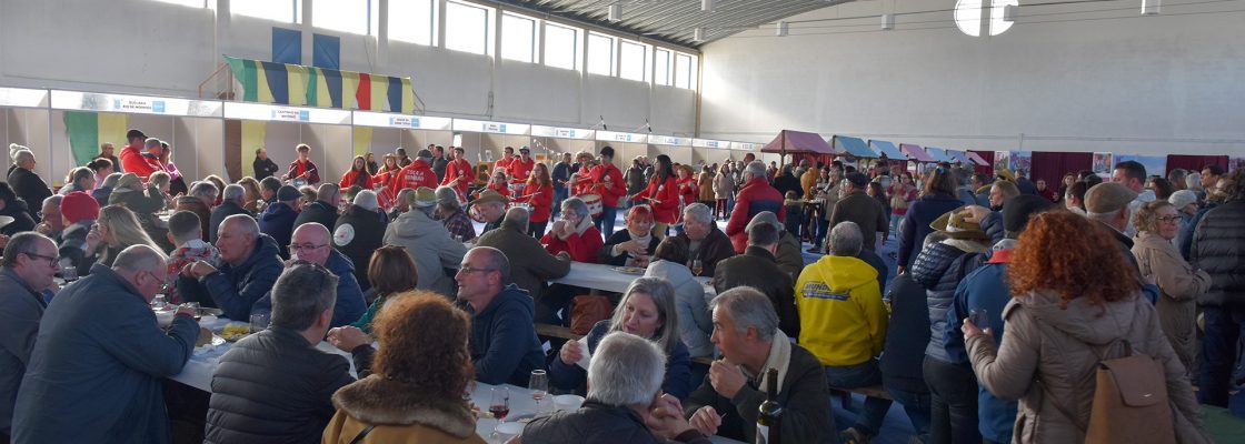 Prova de Vinho Novo de Cabeção registo de sucesso