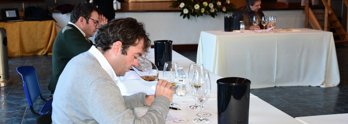 Concurso destaca Vinhos da Talha de Cabeção