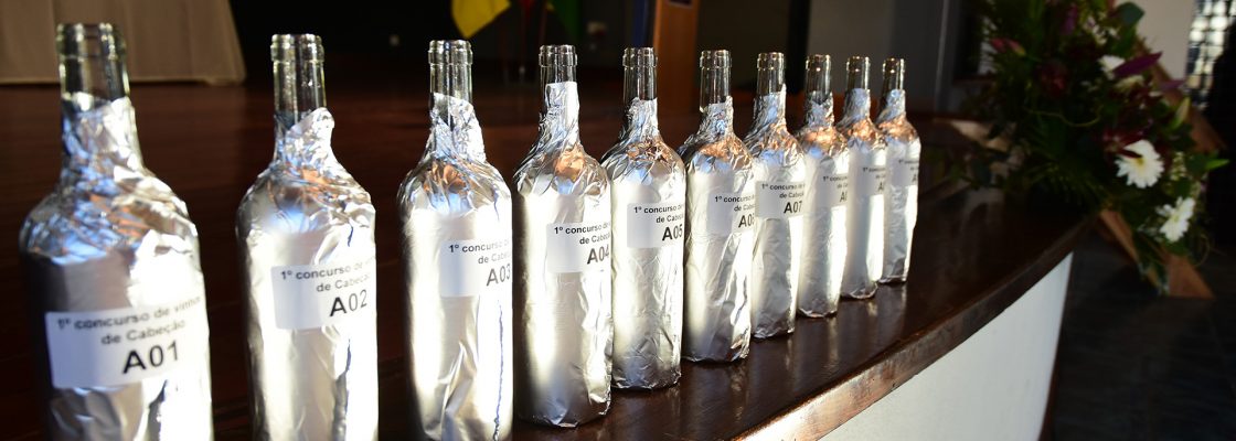 Concurso destaca Vinhos da Talha de Cabeção