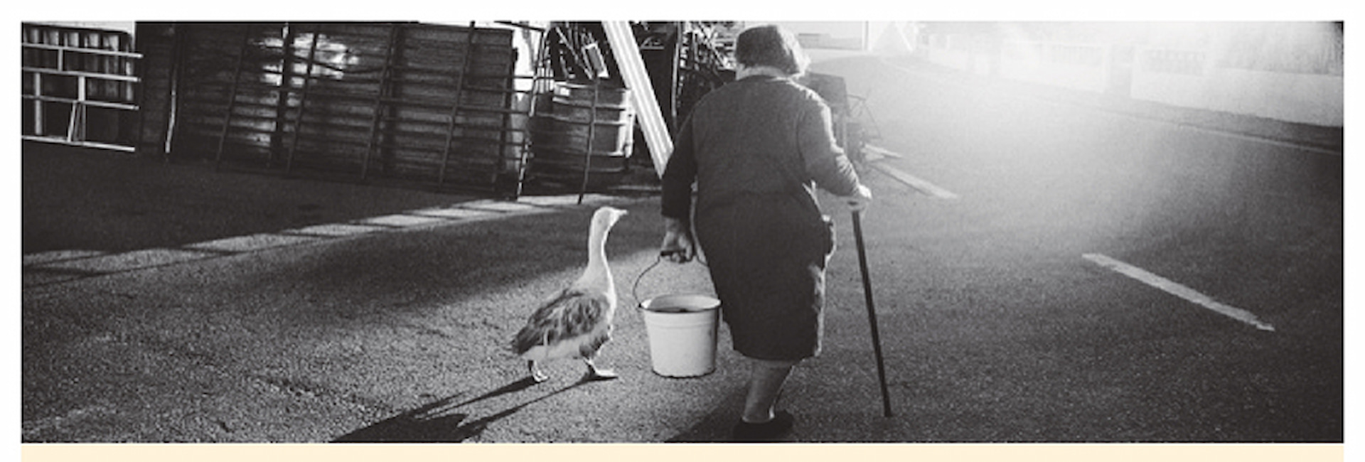 Exposição de fotografia “Pavia Meu Amor”