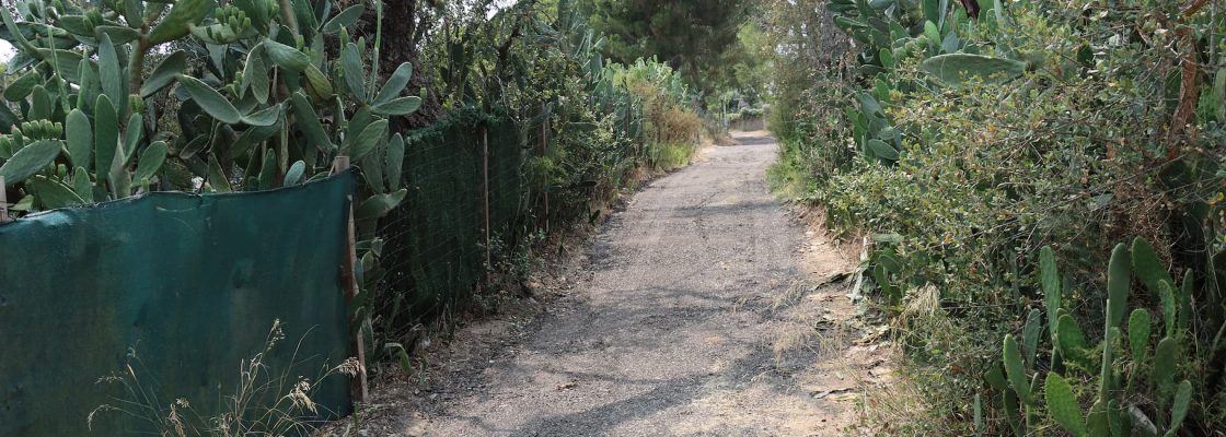 Caminho público dos Foros de Mora alvo de melhoramentos