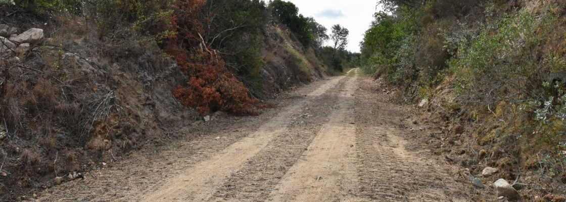 Terminados trabalhos de limpeza na ecopista