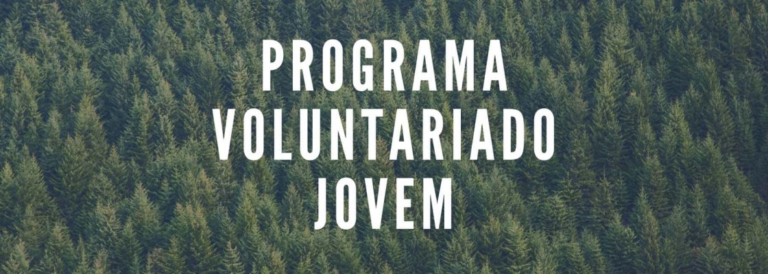 Programa Voluntariado Jovem para os jovens do Concelho de Mora