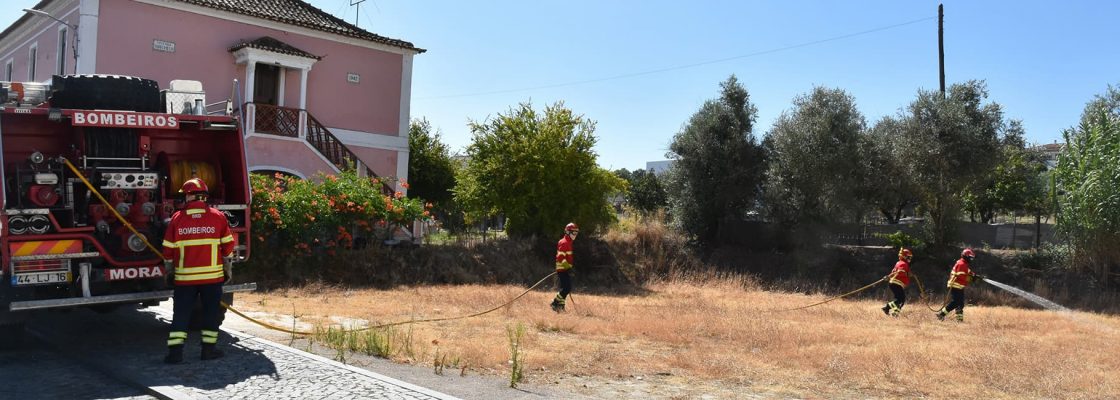 Jovens do Concelho em formação para proteção das florestas