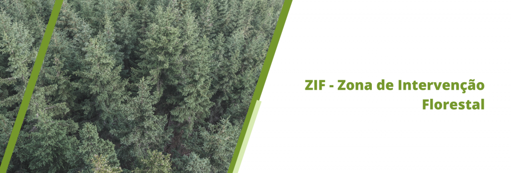 ZIF - Zona de Intervenção Florestal