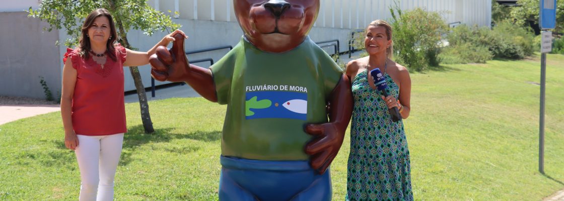 Do Parque Ecológico do Gameiro para o Fluviário de Mora