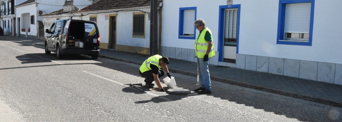 Desratização no Concelho de Mora