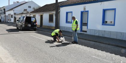 Desratização no Concelho de Mora