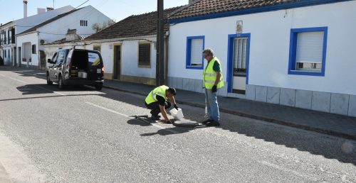 Desratização no Concelho de Mora