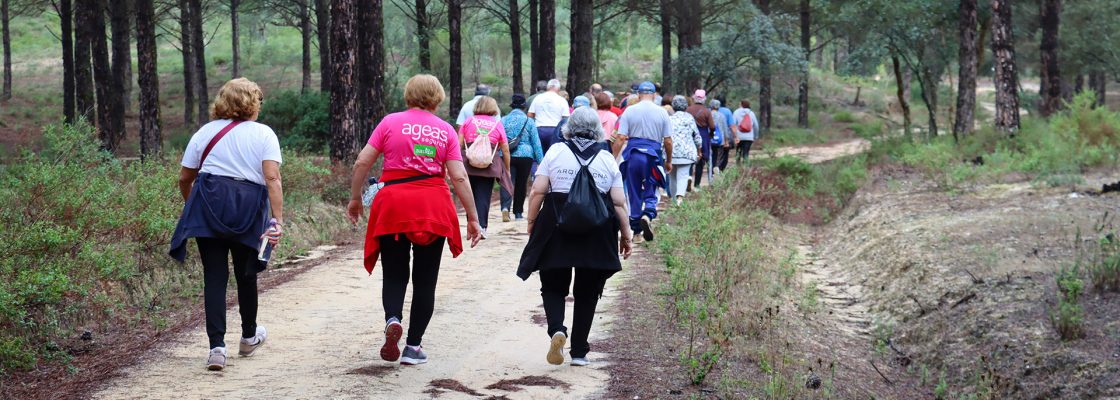 Idosos caminham na Mata Nacional de Cabeção