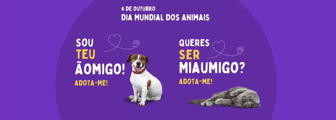 Município de Mora lança campanha para adoção responsável de animais de companhia